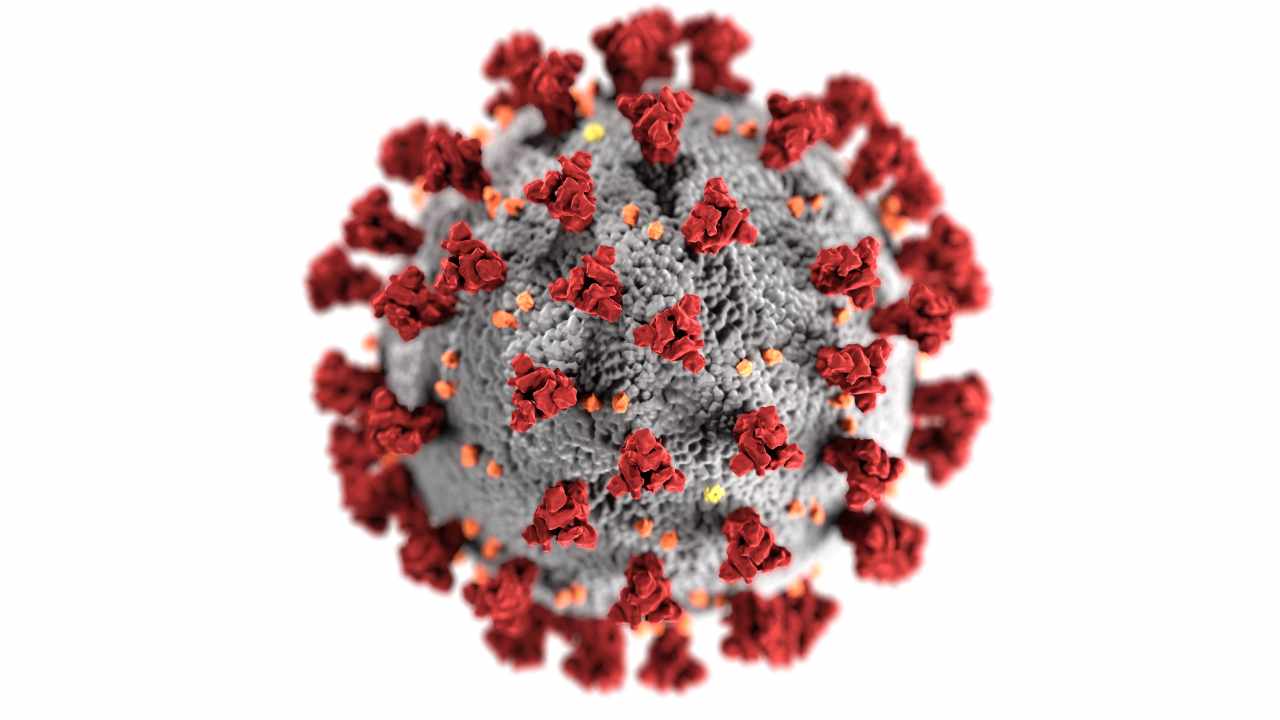 Coronavirus la cura