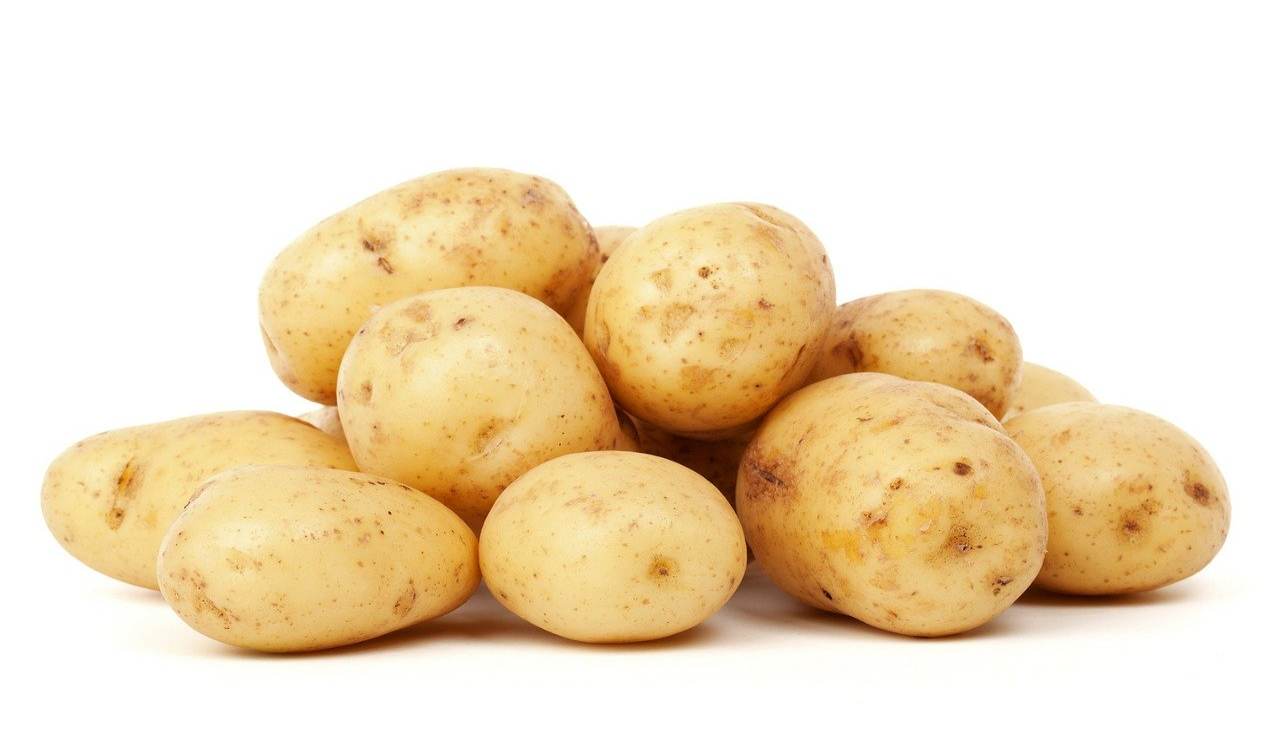 Gateau di patate ricetta