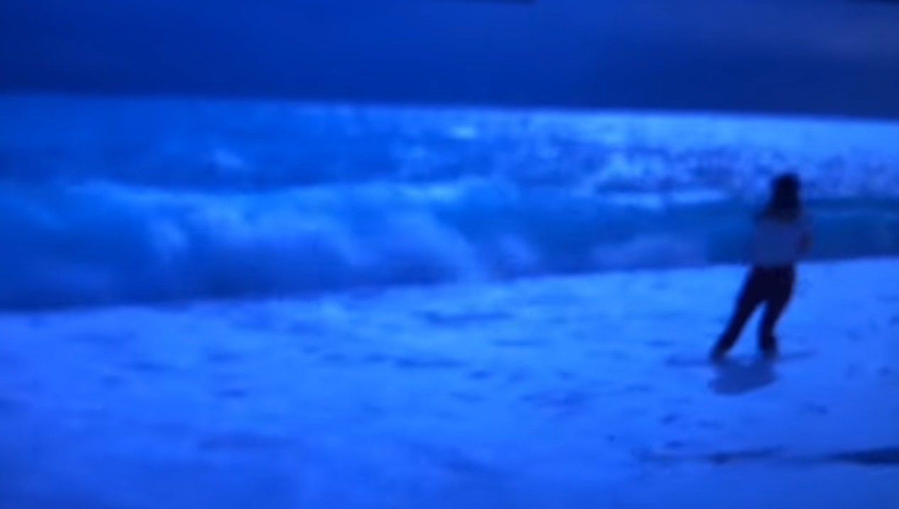 vittorio sgarbi annegare