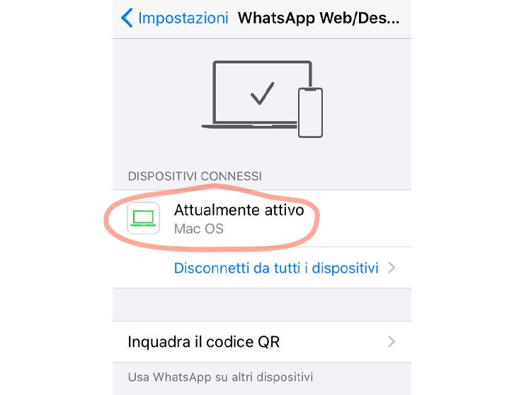 WhatsApp sessioni attive