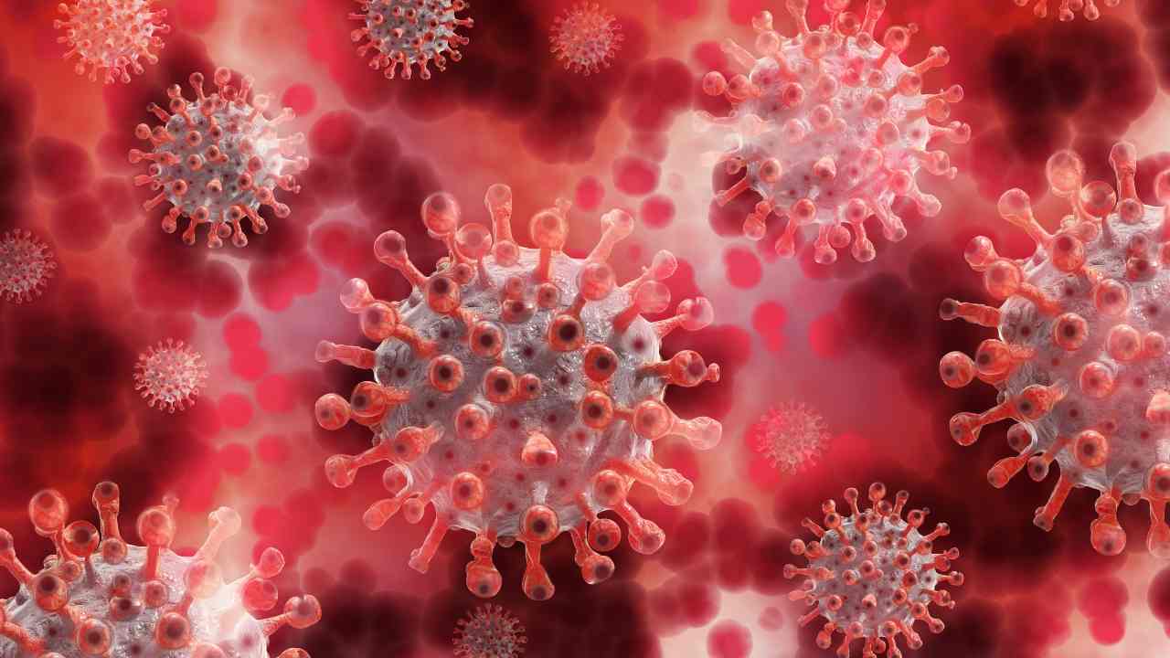 Coronavirus (pixabay)