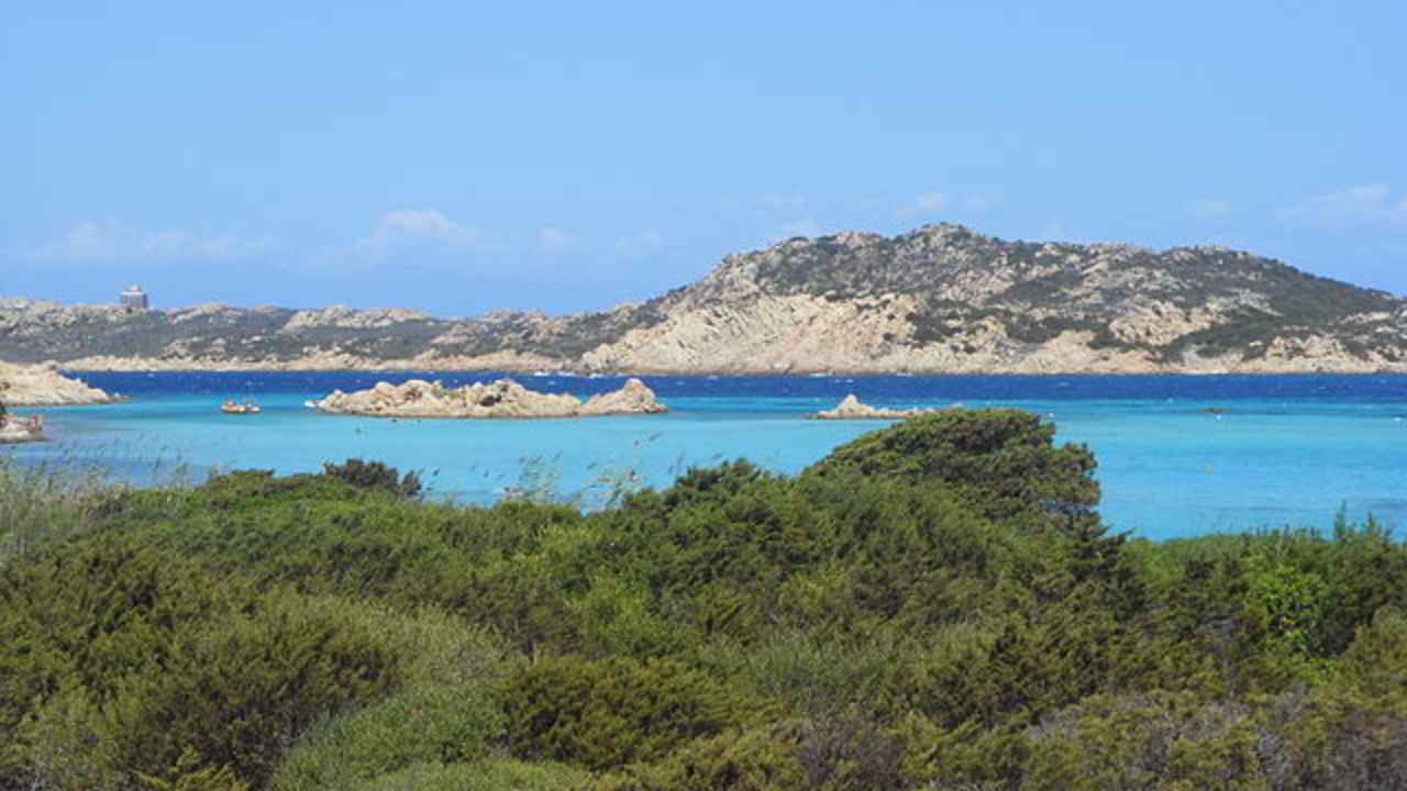 maddalena coronavirus