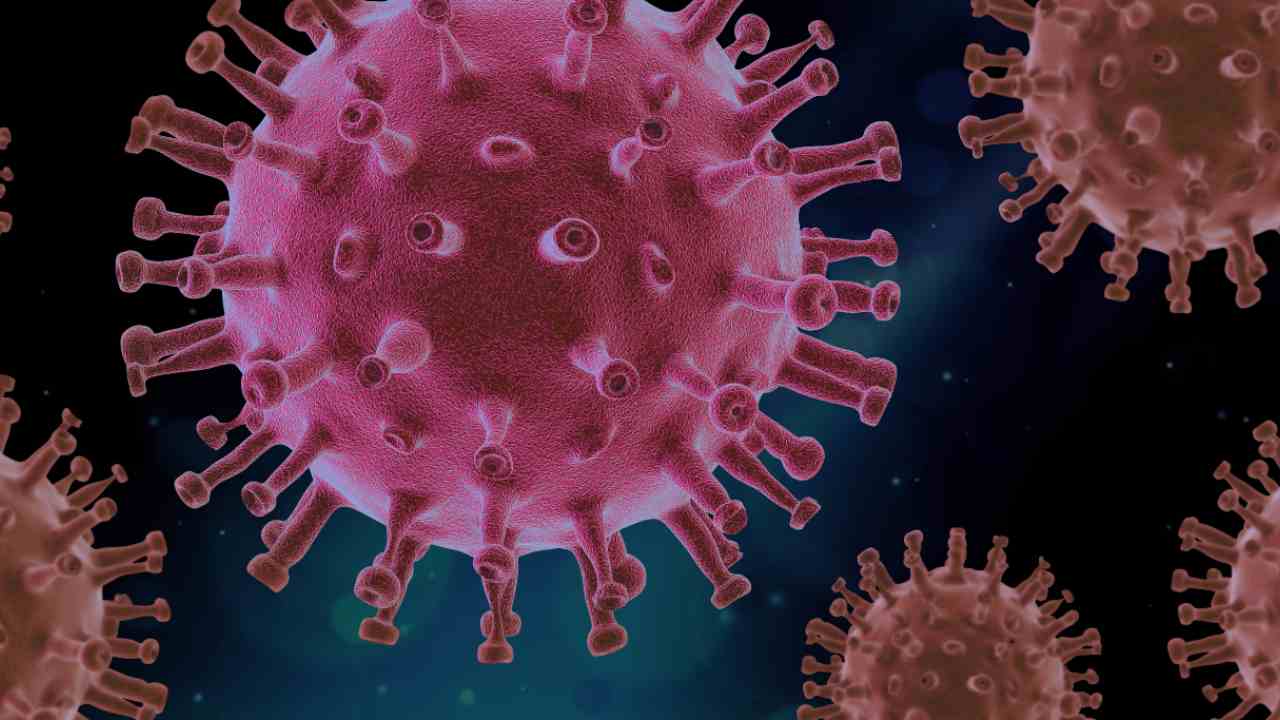 Coronavirus