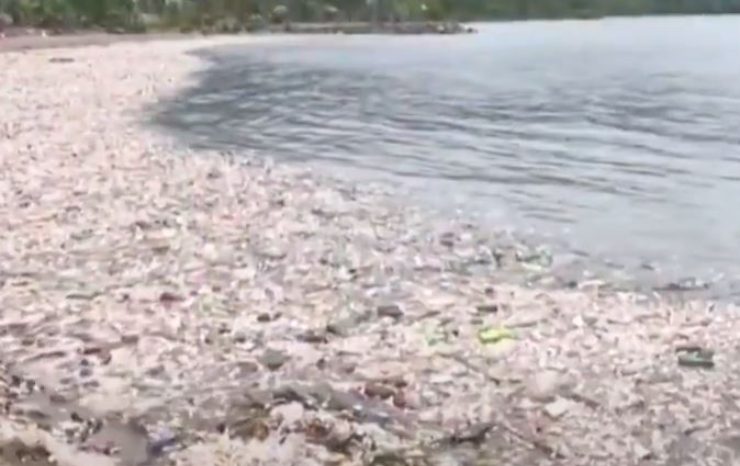 honduras spiagge mare spazzatura