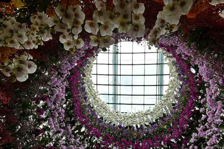 Disinfettante Per Cimici Da Letto