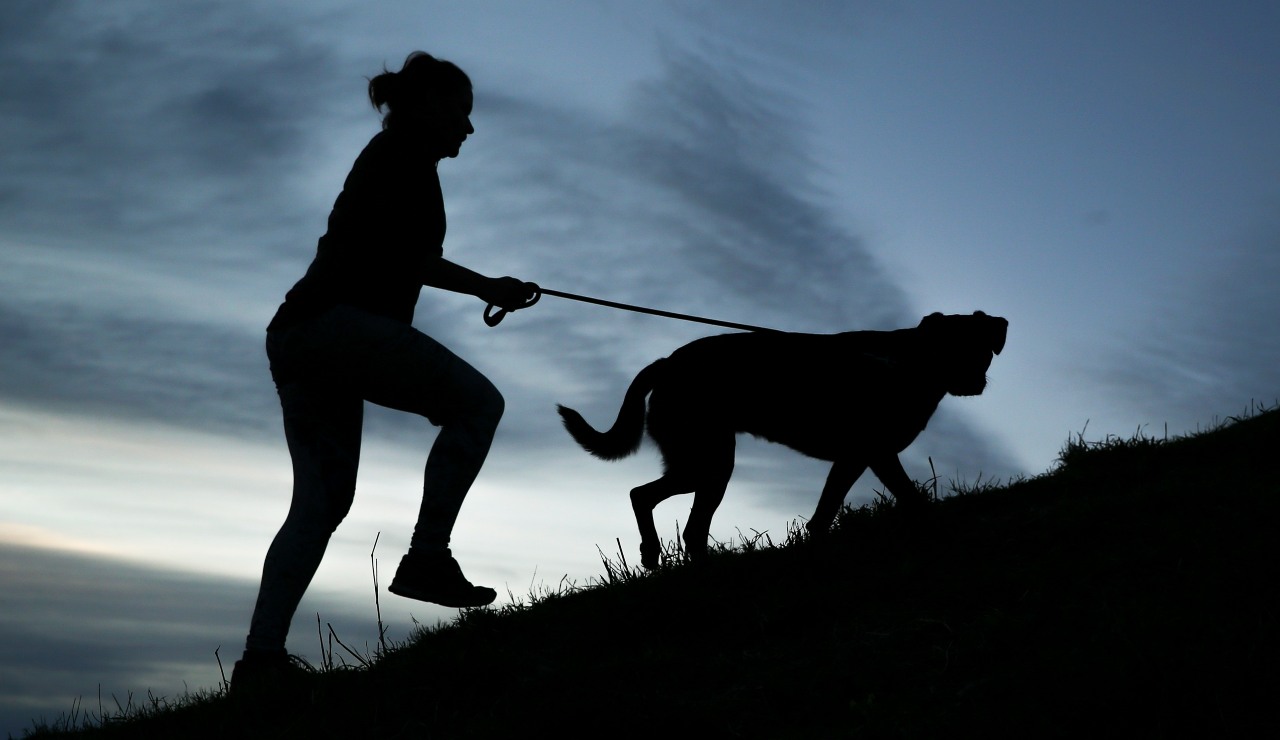 Passeggiata con il cane