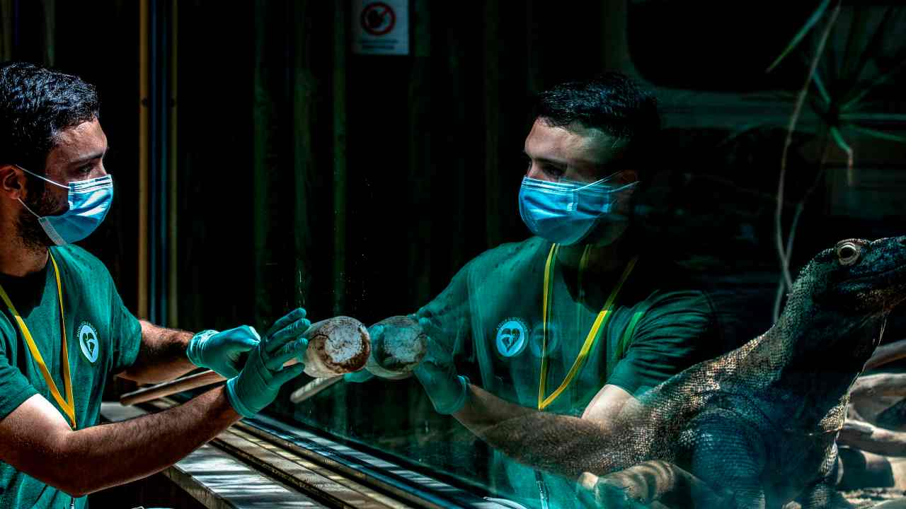 Il Bioparco di Roma ha fermato una famiglia proveniente dalla Sardegna, a causa delle norme anti coronavirus: "Ci siamo rimasti male"