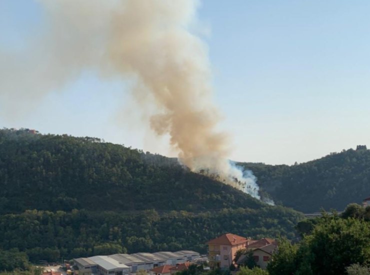 incendio Liguria bosco