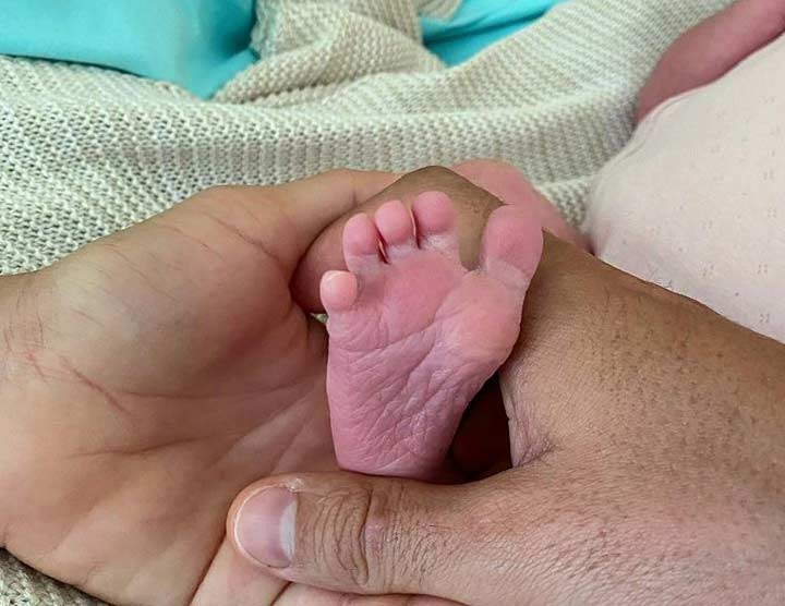 palmas magnini bimba