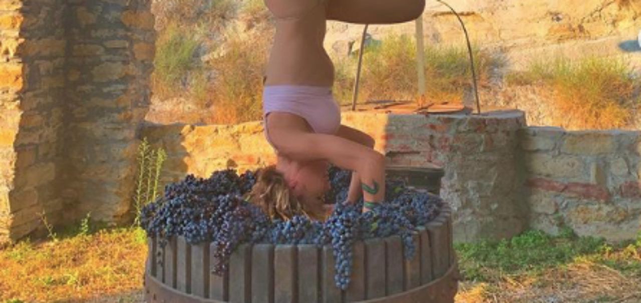 naike rivelli vendemmia in tanga