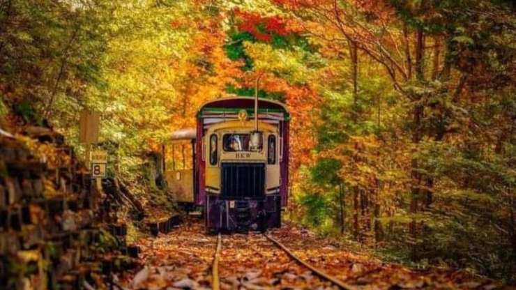 treno del foliage