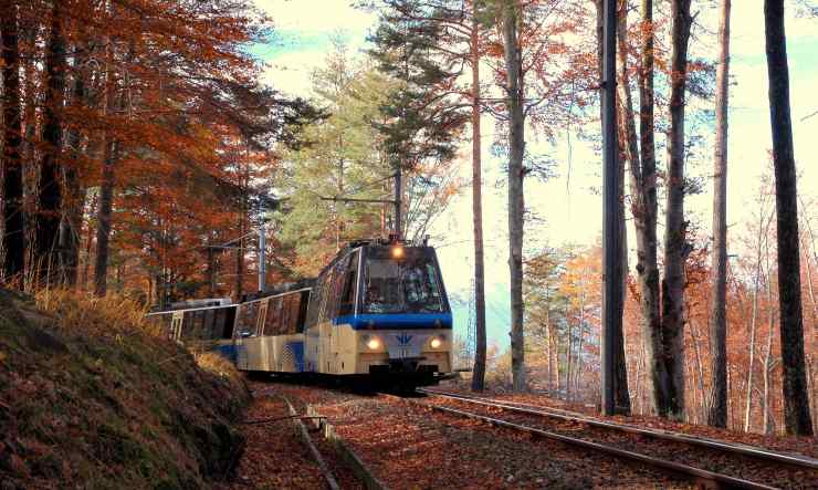 treno del foliage
