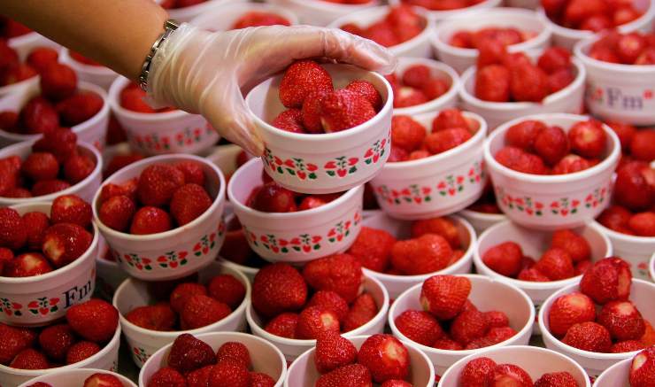 fragole supermercato