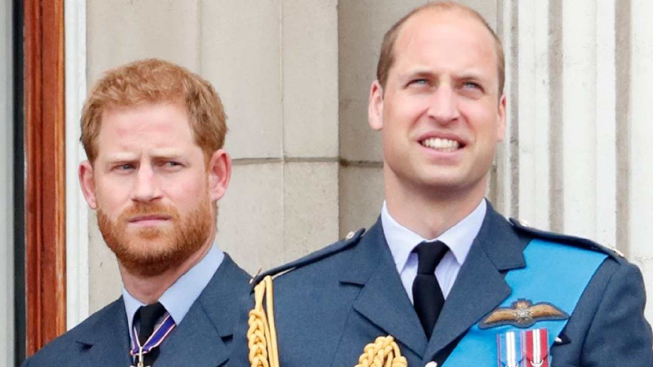 Libro Royal Family, Harry e William