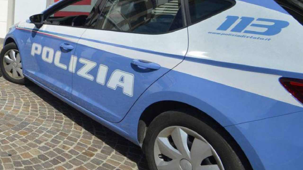 Uccide moglie disabile
