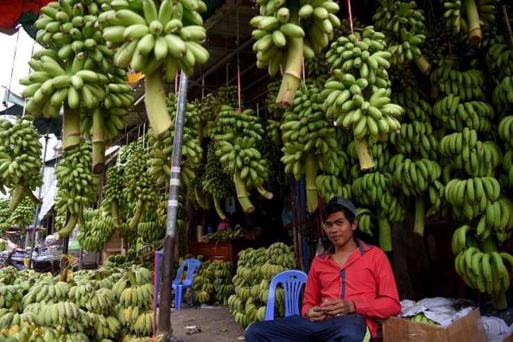 india uomo mangia 96 banane