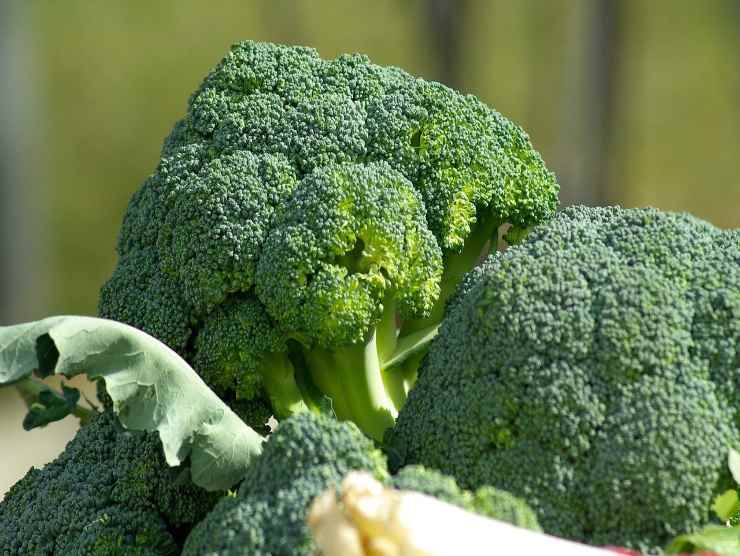 broccoli per risotto