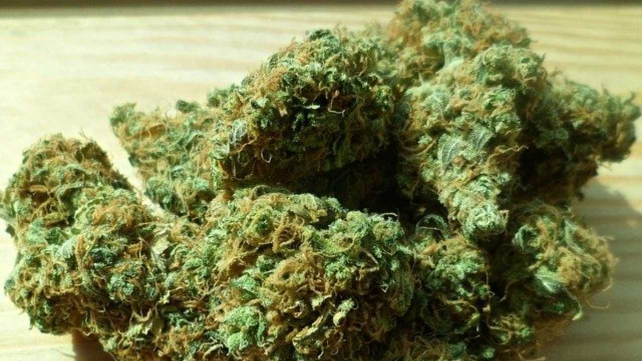 arrestato musicista coronavirus cannabis assalti frontali