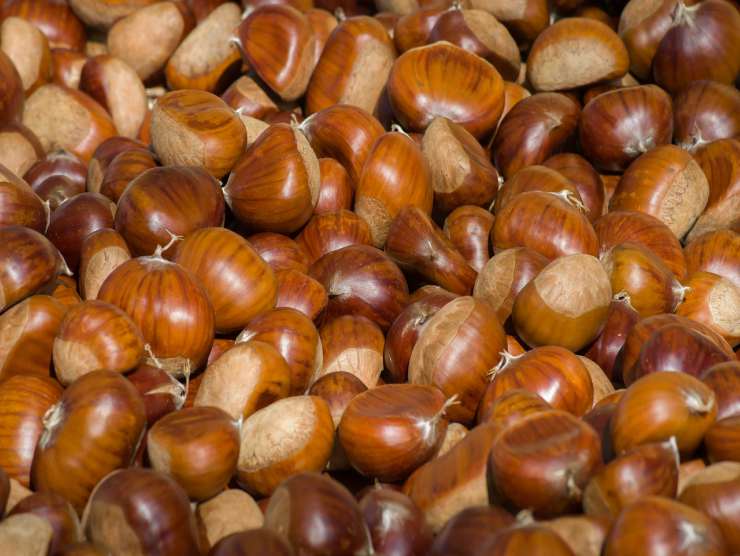 castagne per ricetta filetto