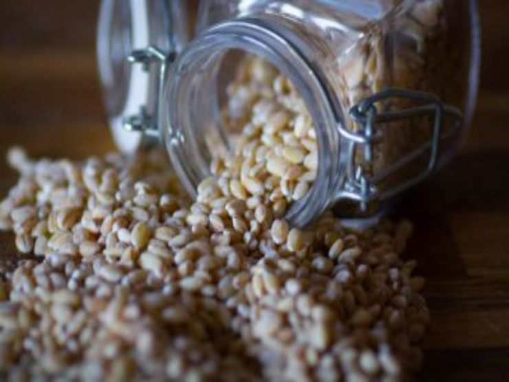 orzo per ricetta pomodoro