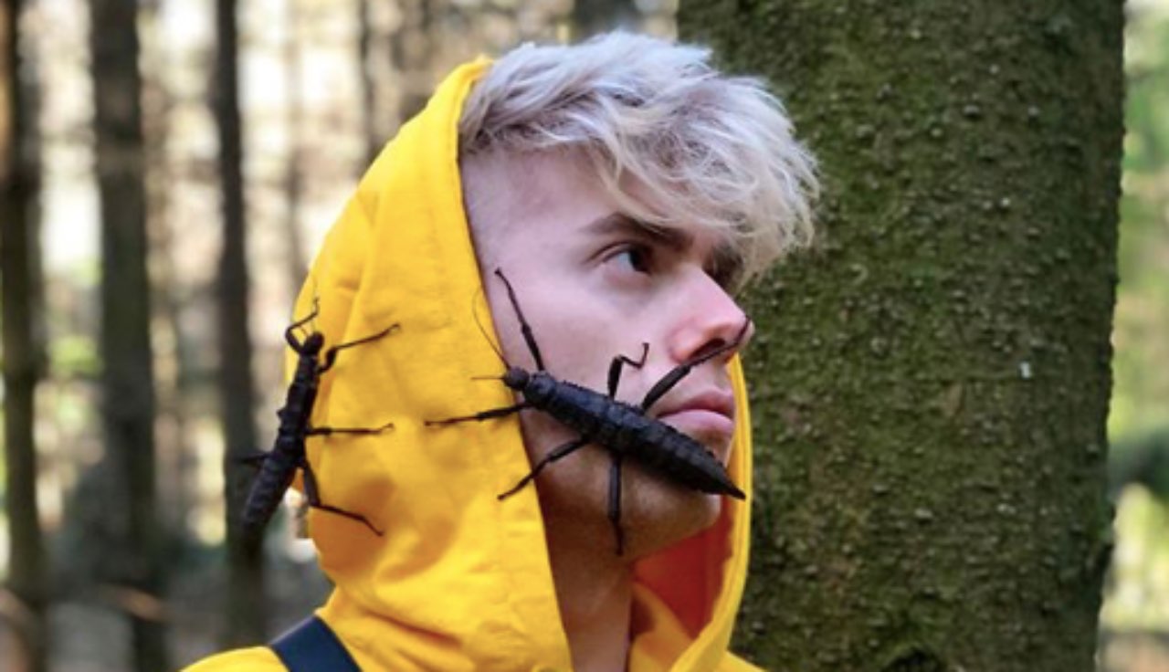 ragazzo russo 700 insetti