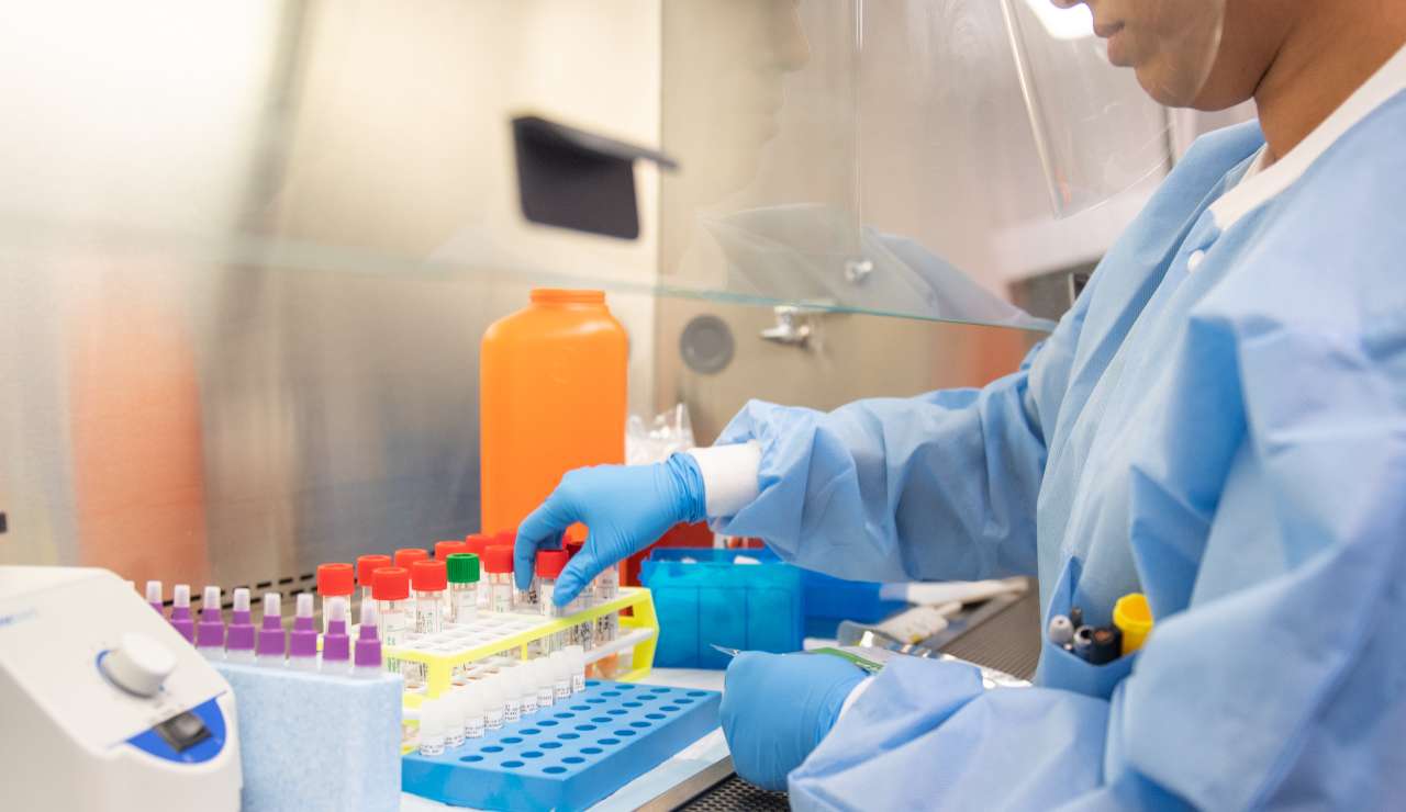 BOLLETTINO 19 NOVEMRE