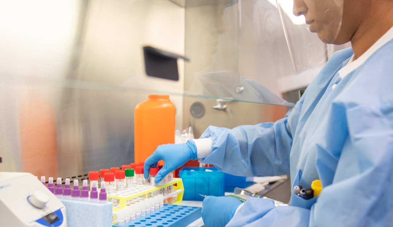 bollettino 12 Dicembre