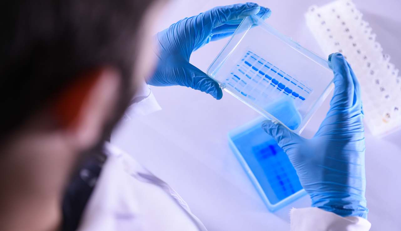 bollettino 4 Dicembre