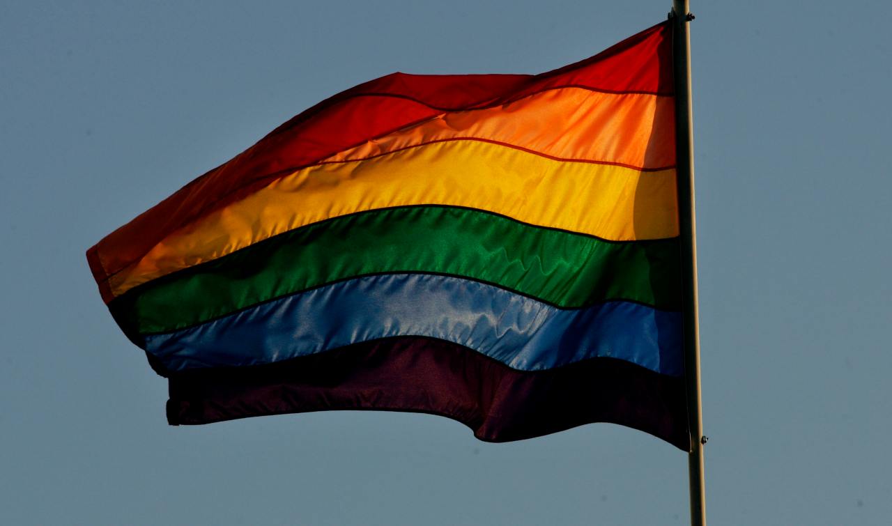 Partito Gay (getty images)