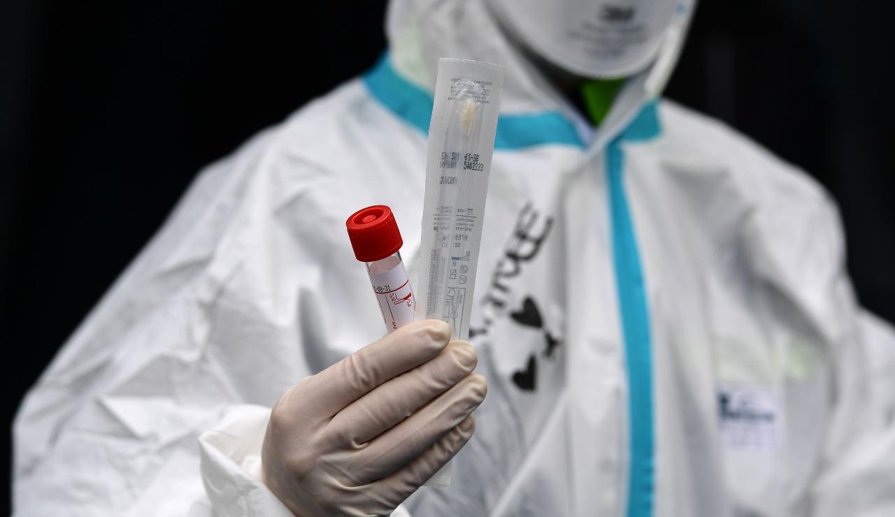 bollettino 24 novembre