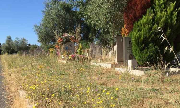 Cimitero Morti Cartello Roma