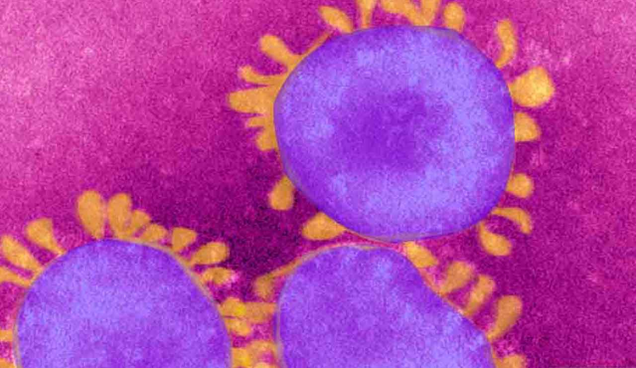 covid variante inglese