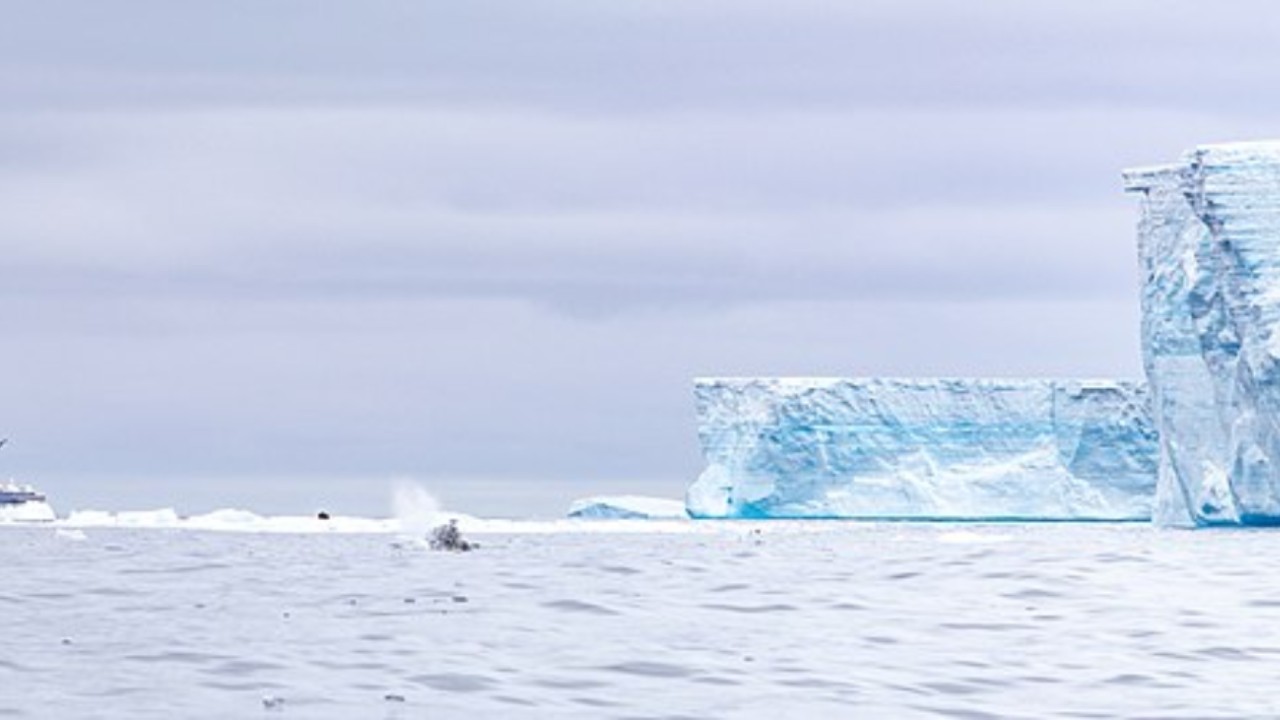 iceberg a68a atlantico meridionale georgia del sud