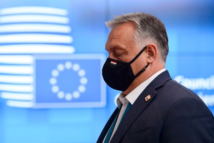 adozione coppie gay vietata ungheria viktor orban