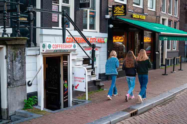 Amsterdam coffee shop ragazzi