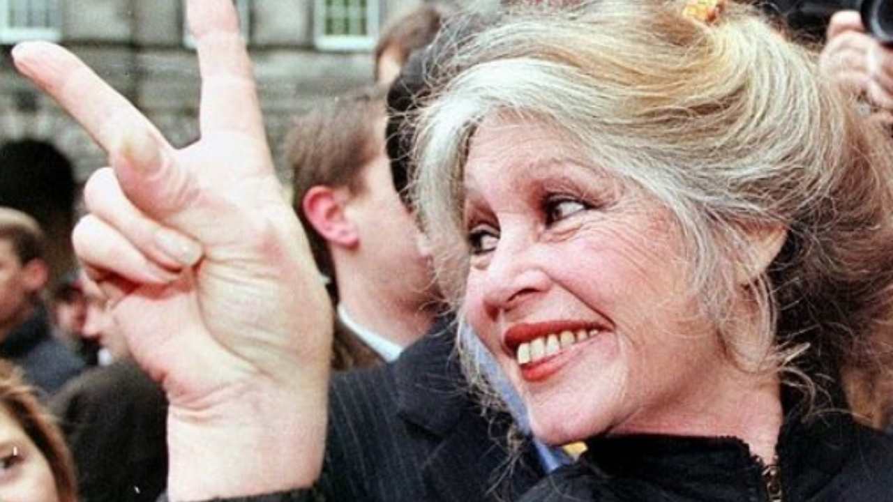 Brigitte Bardot sciocca mondo covid positivo