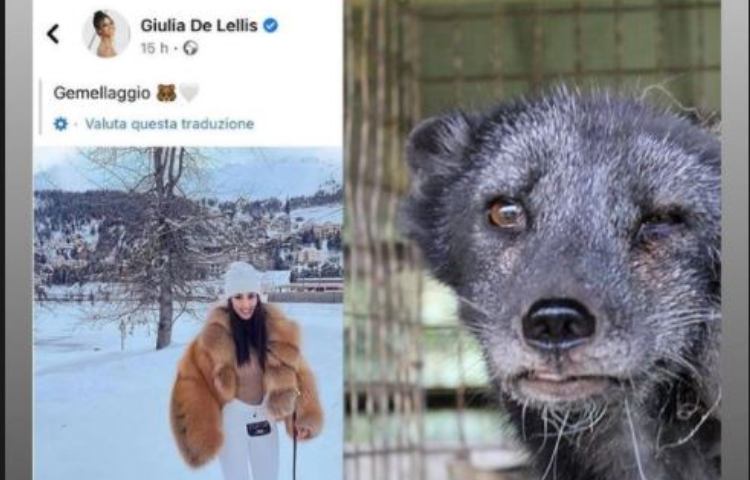 Instagram storie Valentina Vignali Pellicce