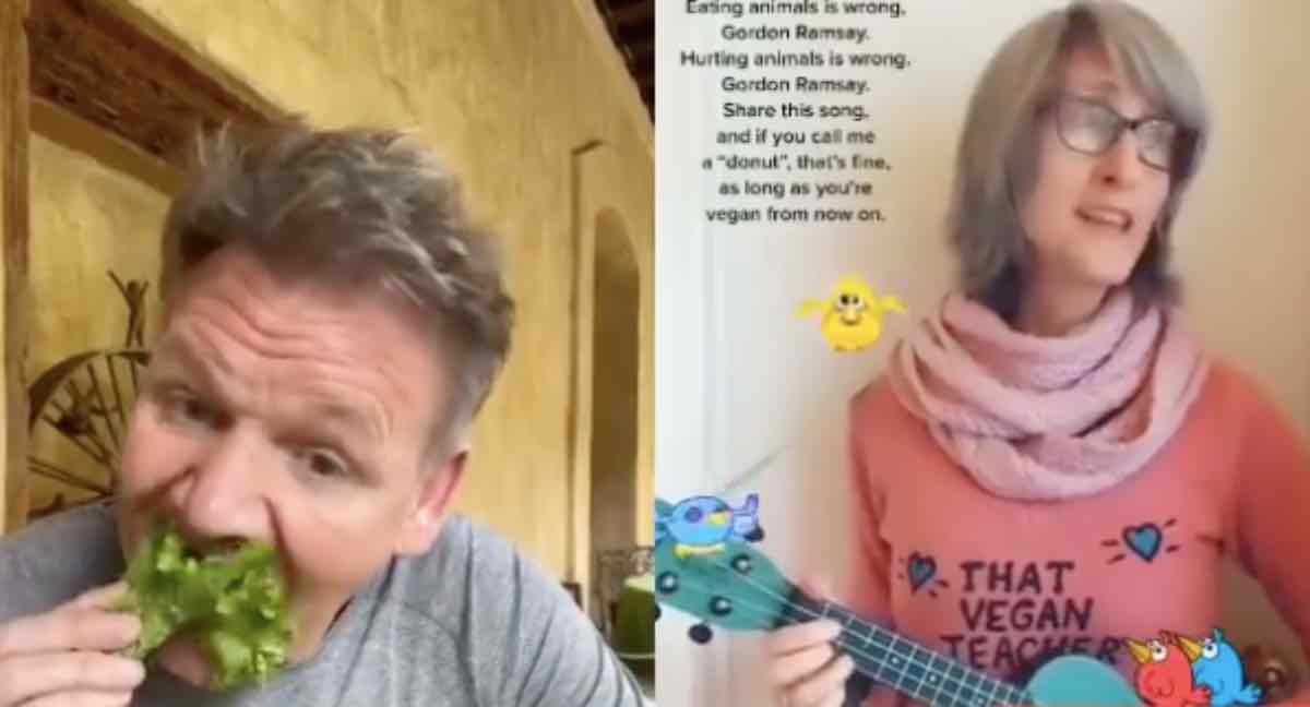 Gordon Ramsay video tik tik