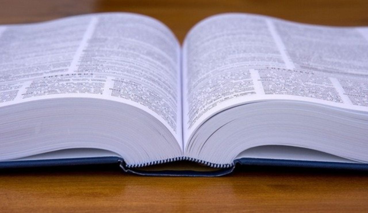 Dizionario lingua italiana