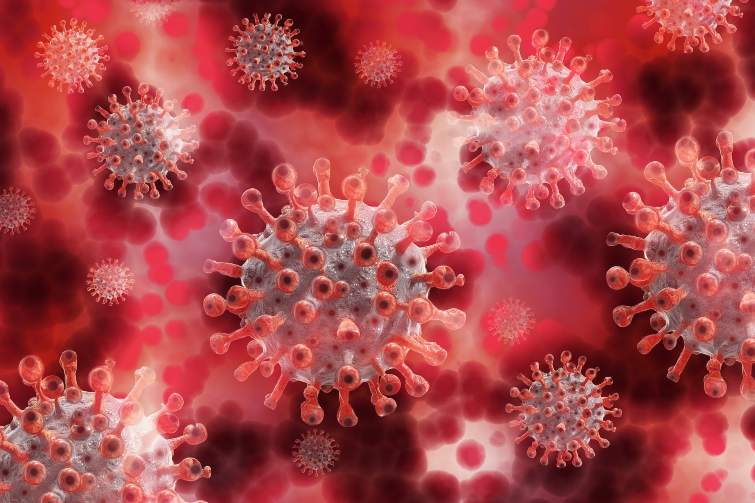 Variante brasiliana coronavirus primo caso in Italia