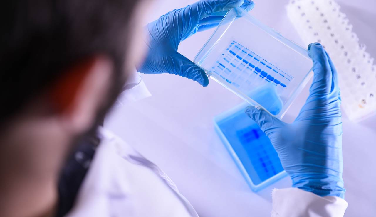 bollettino 21 gennaio