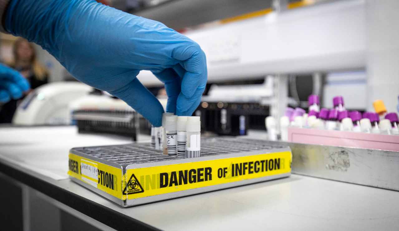 bollettino 24 gennaio