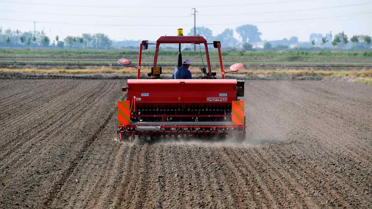 macchinario agricolo - incidente operaio