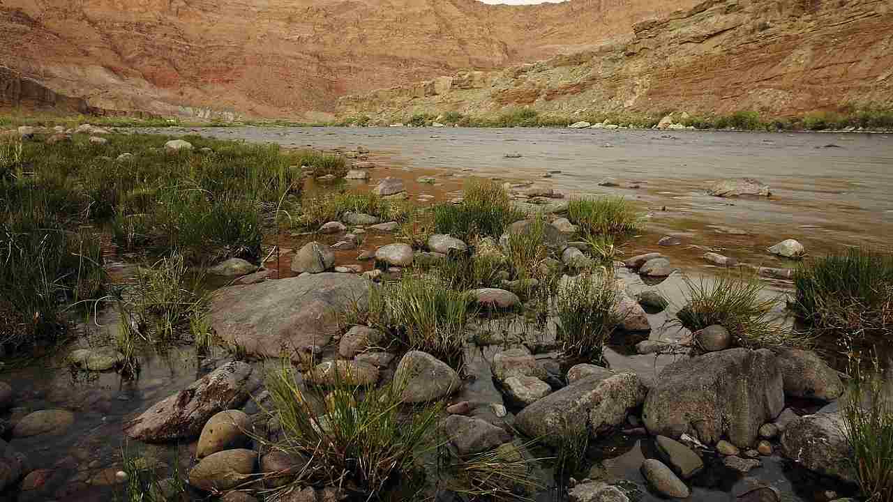 Getta uomo nel fiume