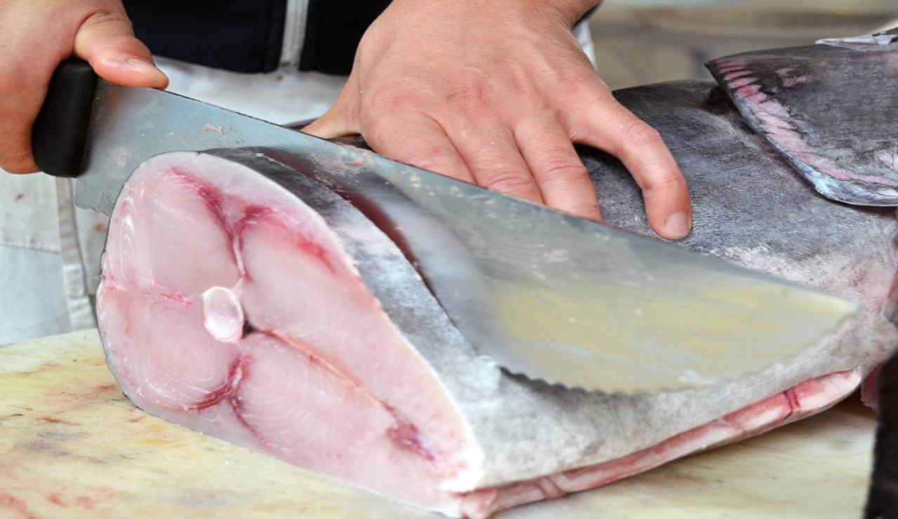 trancio pesce spada fresco