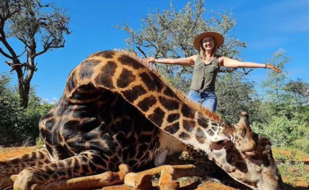 cacciatrice uccide giraffa