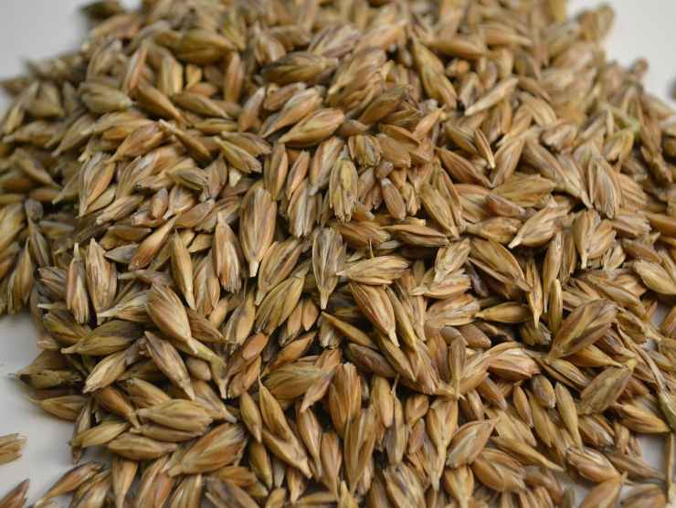 ritiro farro dalla vendita