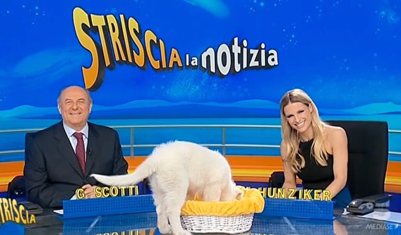Gerry Scotti e Michelle Hunziker, conduttori Striscia la Notizia