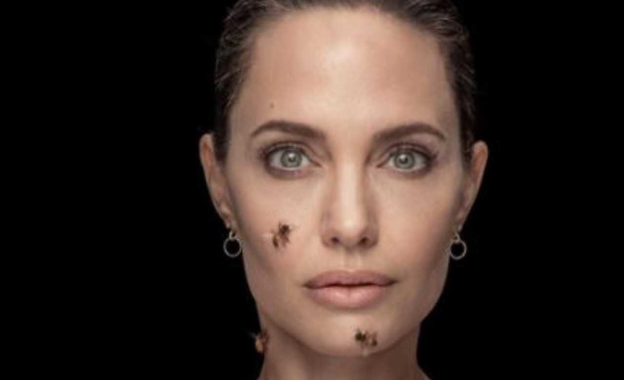 Angelina Jolie api sul volto