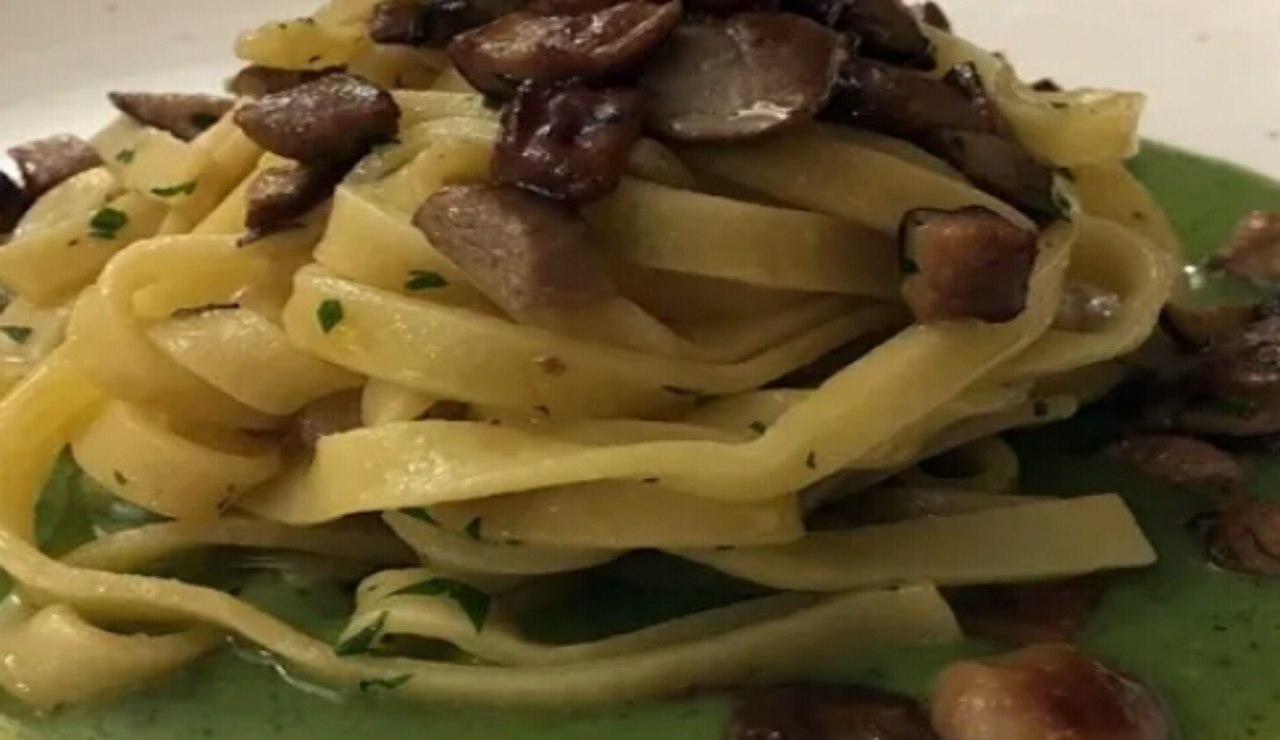 tagliatelle con funghi porcini